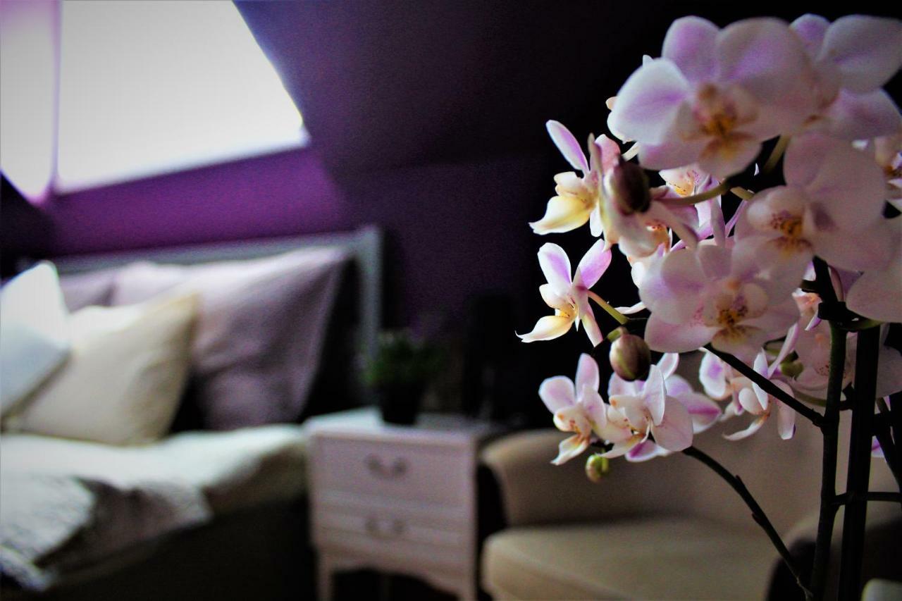 Fjord House Villa Grimo Dış mekan fotoğraf