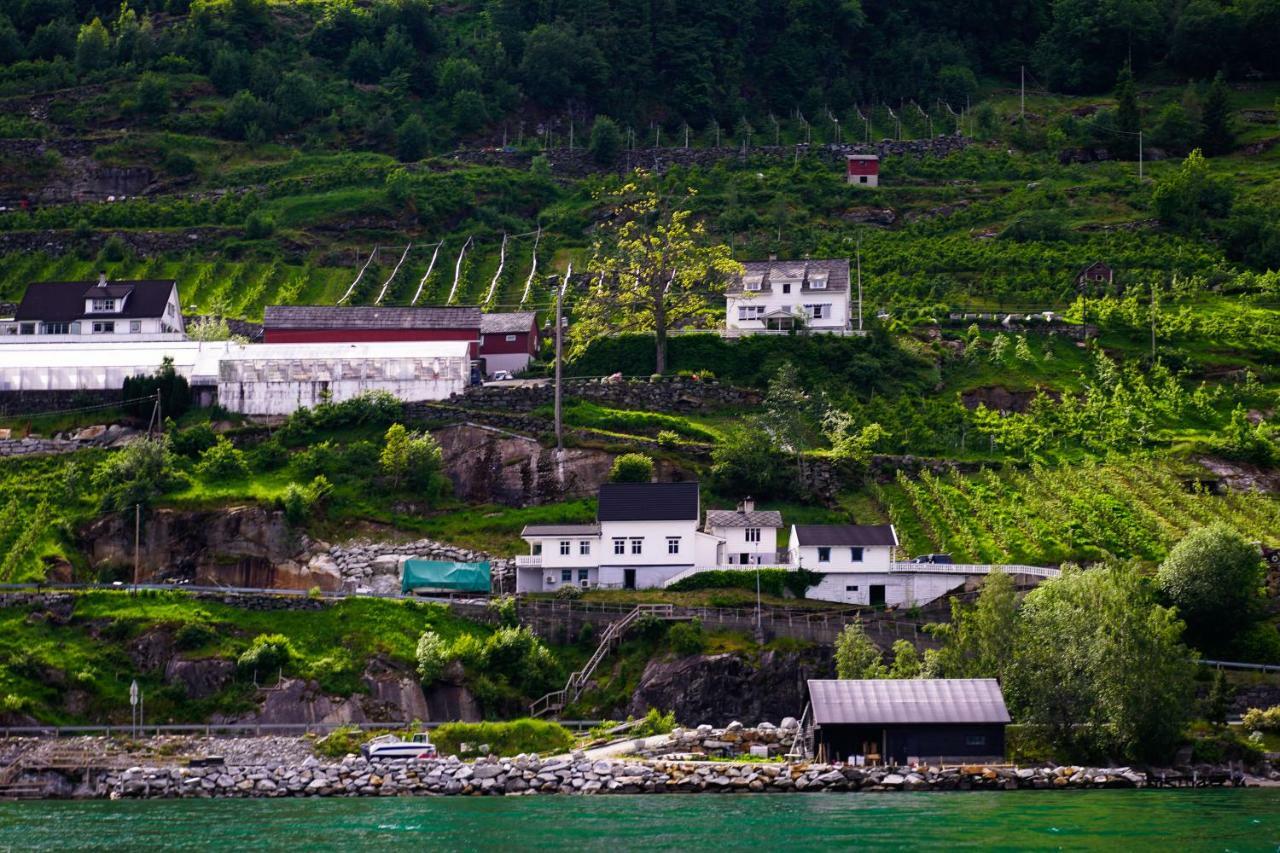 Fjord House Villa Grimo Dış mekan fotoğraf
